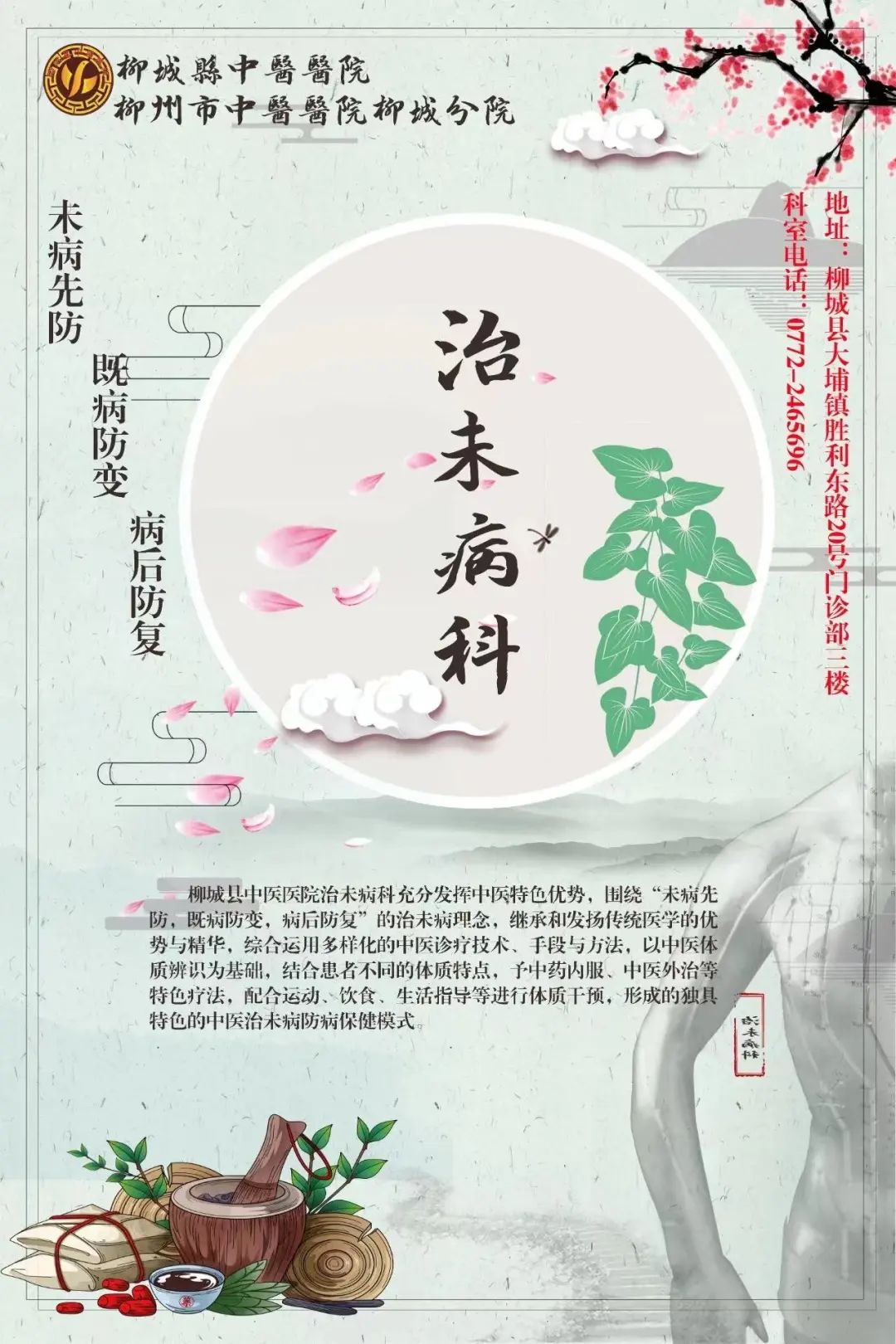 Traditional Health Preservation - Jade Stone Gua Sha Detox Therapy