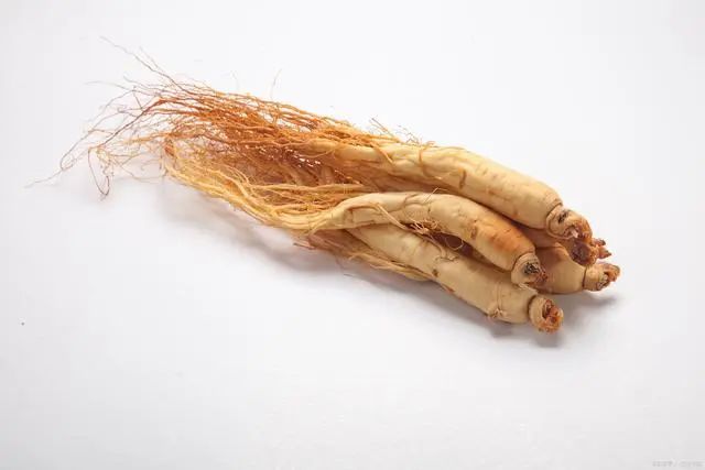 The Effects and Functions of Ginseng: Can It Be Consumed Regularly?