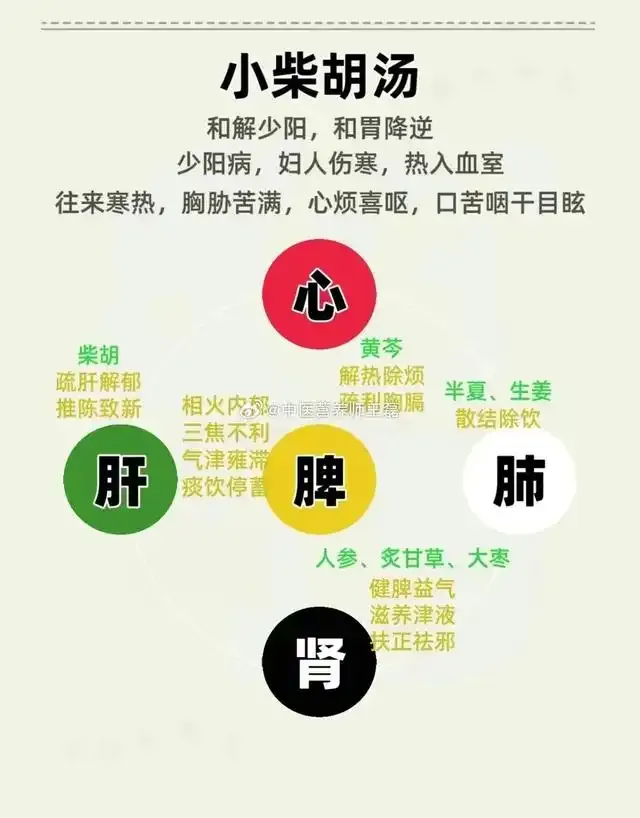 Eight Principles of Classical Formulas in the Treatise on Cold Damage: Unveiling the Essence of Zhang Zhongjing's Medicine!