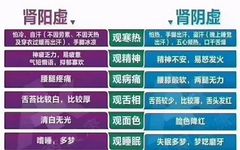 Understanding Kidney Deficiency: Yin and Yang Differentiation and Treatment Approaches