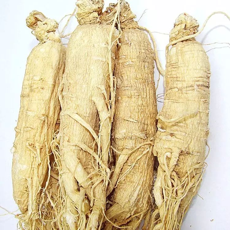 Understanding Dang Shen (Codonopsis pilosula) in Traditional Chinese Medicine