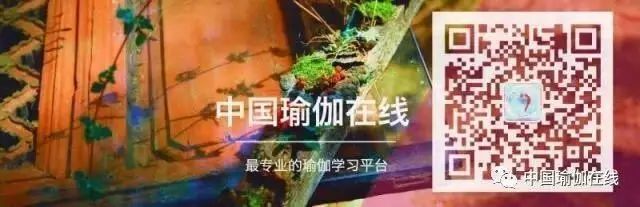 Understanding and Nurturing the Harmonious Constitution in Traditional Chinese Medicine