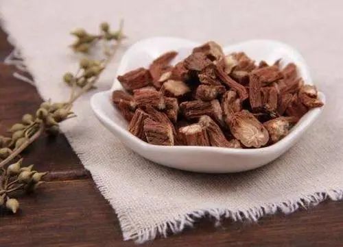 The Efficacy, Functions, and Contraindications of Dan Shen (Salvia miltiorrhiza)