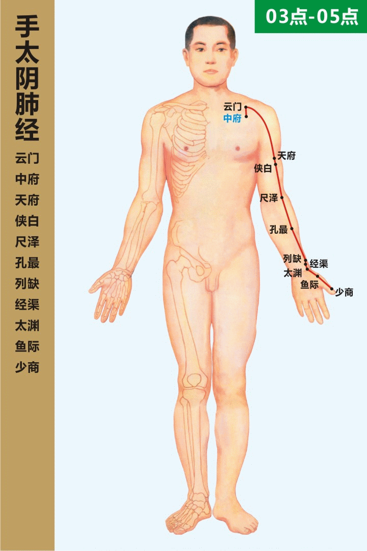 Understanding the Essentials of the Huangdi Neijing in 10 Minutes (Save for Study)