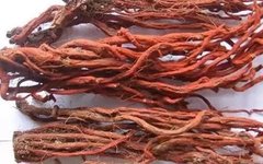 Dan Shen: A Herb with Benefits Comparable to Four Substances! Strengthening the Heart, Activating Blood Circulation, Promoting Tissue Regeneration, and Protecting the Brain - Affordable for Everyone!