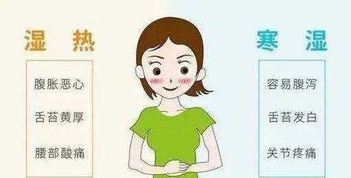 Top 10 Professional Chinese Patent Medicines for Eliminating Damp-Heat