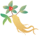 Traditional Chinese Medicine Dietary Therapy for Beauty and Health