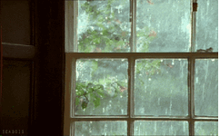 Identifying Phlegm-Damp Constitution: 5 Key Characteristics and Regulation Methods