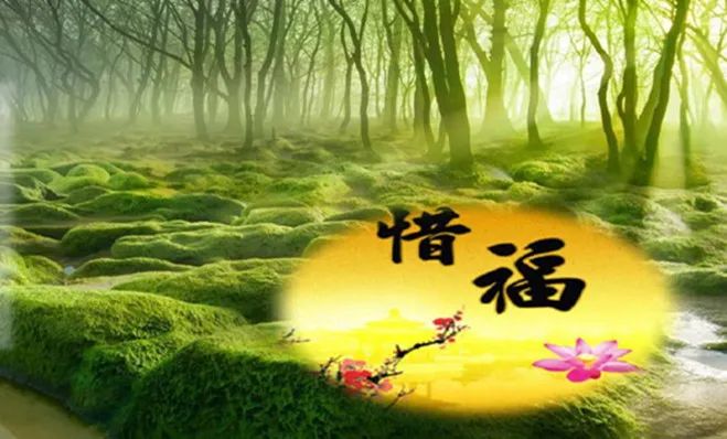 The Importance of Yin-Yang Balance in Feng Shui for Your Home