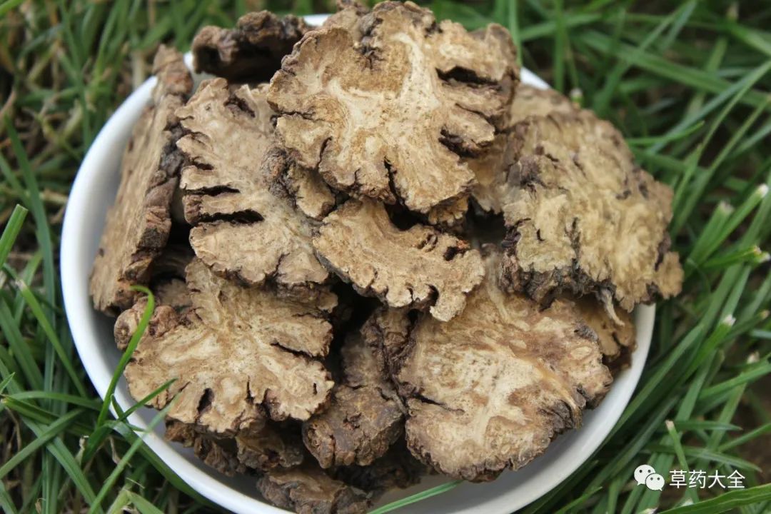 The Efficacy and Functions of Chuanxiong (Ligusticum chuanxiong)