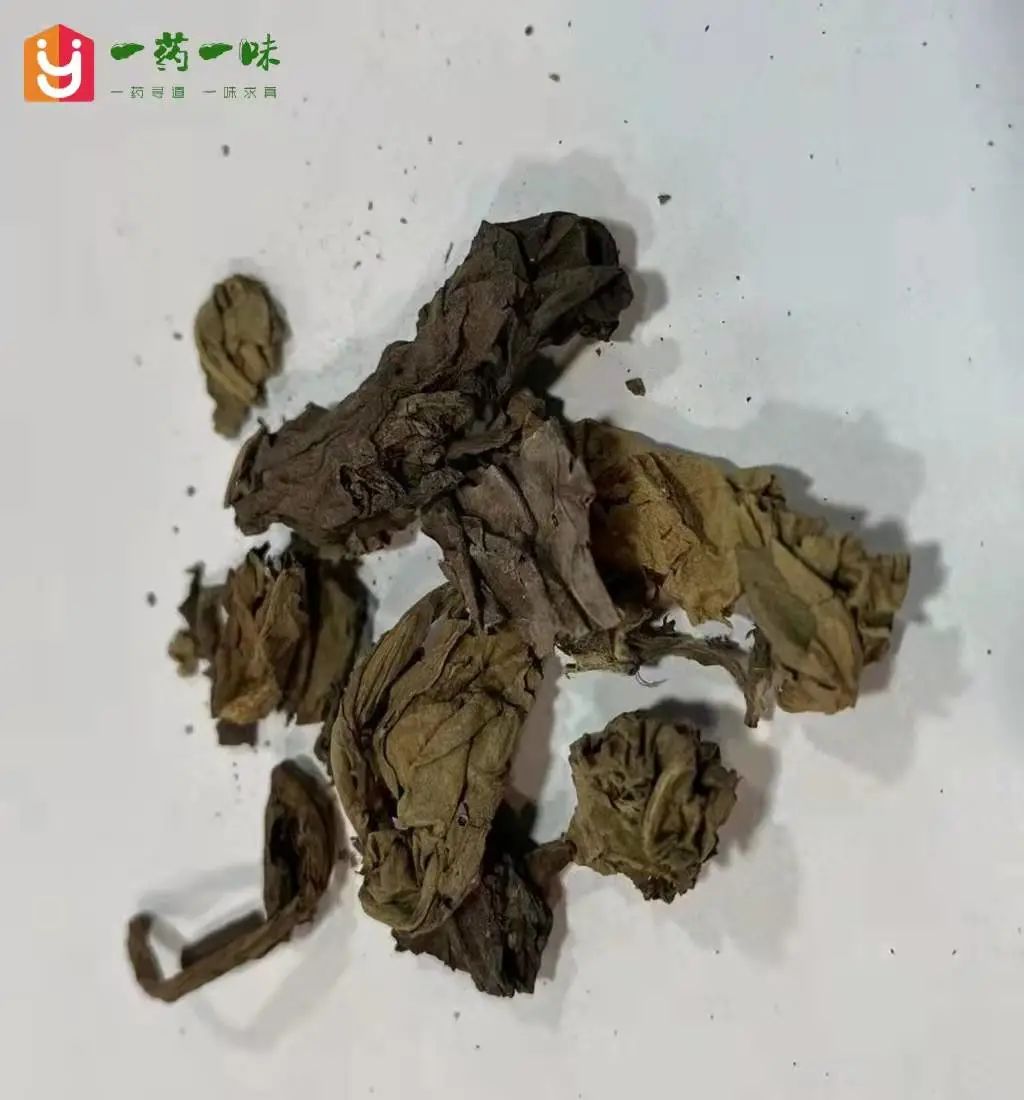Clearing Heat and Detoxifying Herbs in Traditional Chinese Medicine