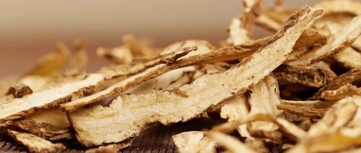 The Indispensable Angelica: A Comprehensive Guide