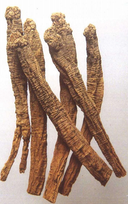 A Detailed Discussion on Codonopsis (Dang Shen)