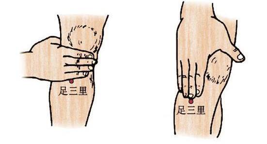 The Way of Health Preservation | Did You Know? Even Those with a Harmonious Constitution Need to "Nurture"!