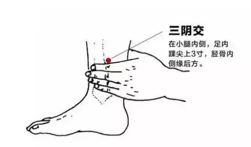 Comprehensive Guide to 35 Common Acupuncture Points: Locations and Effects with Detailed Diagrams