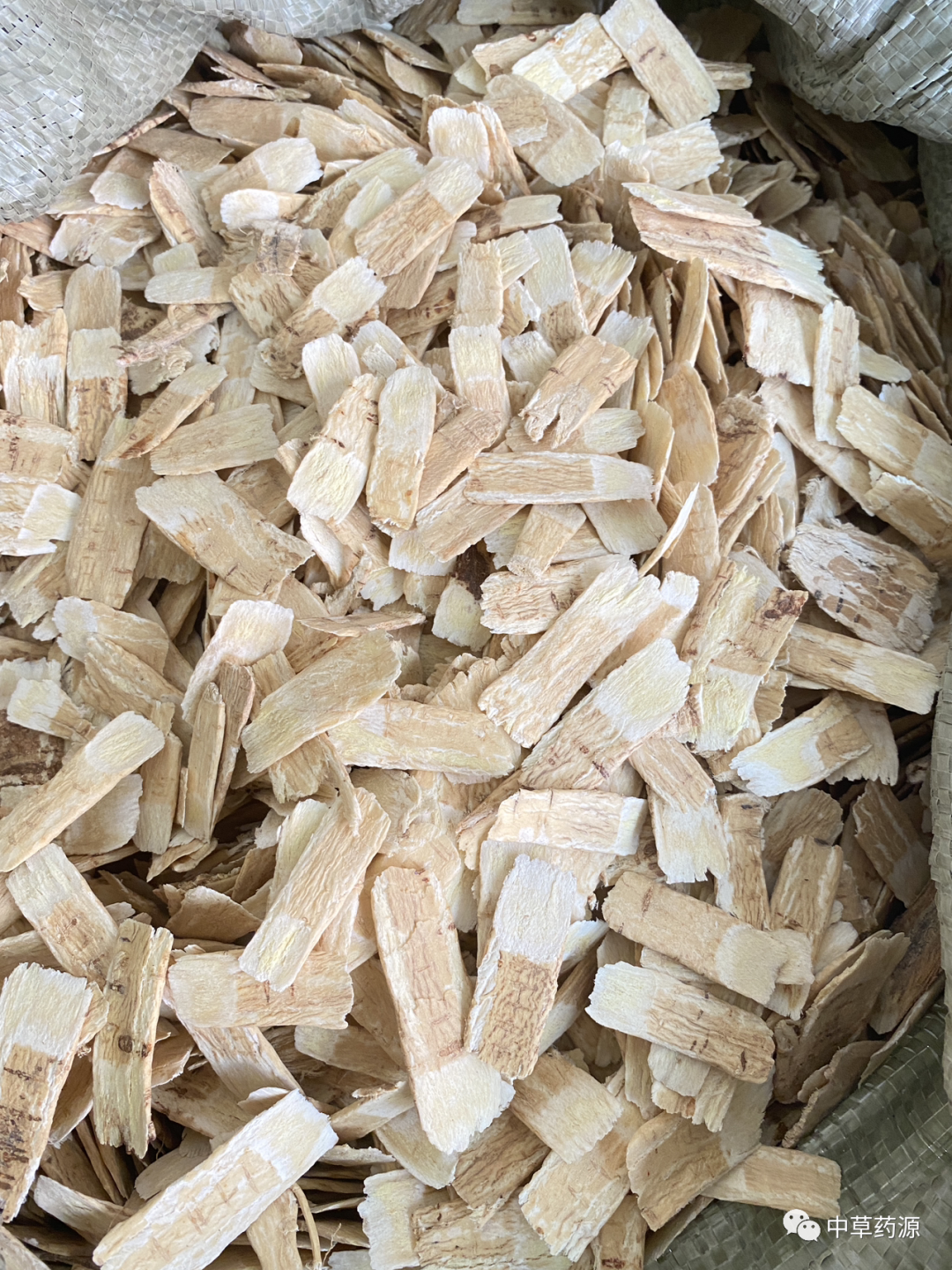 Appreciation of Traditional Chinese Medicine: Huangqi (Astragalus Root)
