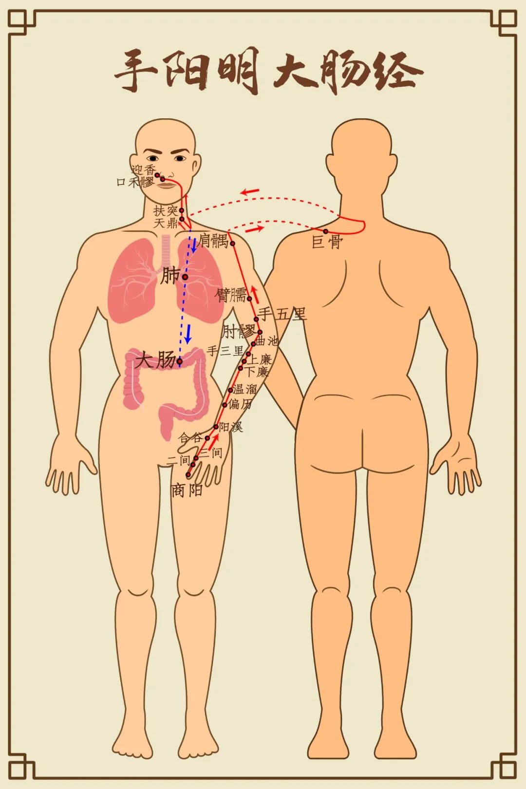 Comprehensive Diagram of Human Meridians (Recommended for Collection)