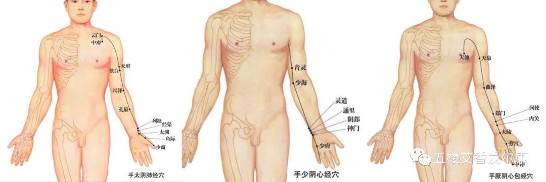 Summary of Common Diseases and Gua Sha Treatment Plans Including Human Reflex Maps, Contraindications, and Diagnosis of Sha Patterns