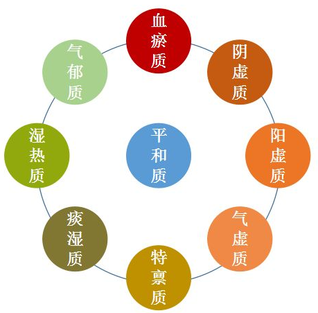 Understanding TCM Body Constitutions and Health Preservation