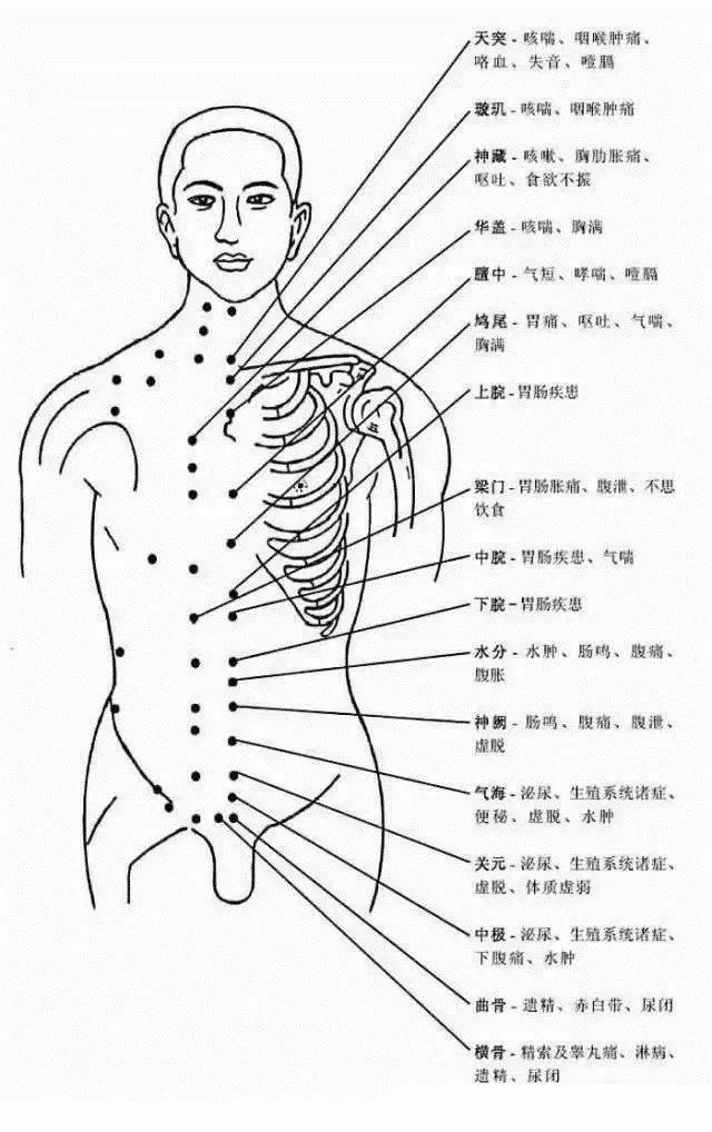 Comprehensive Human Acupuncture Point Chart and Their Functions (A Must-Collect)