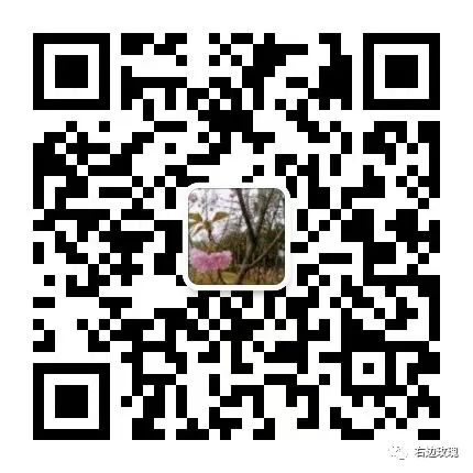Differentiation and Treatment in Traditional Chinese Medicine: The Six Meridians and Eight Principles
