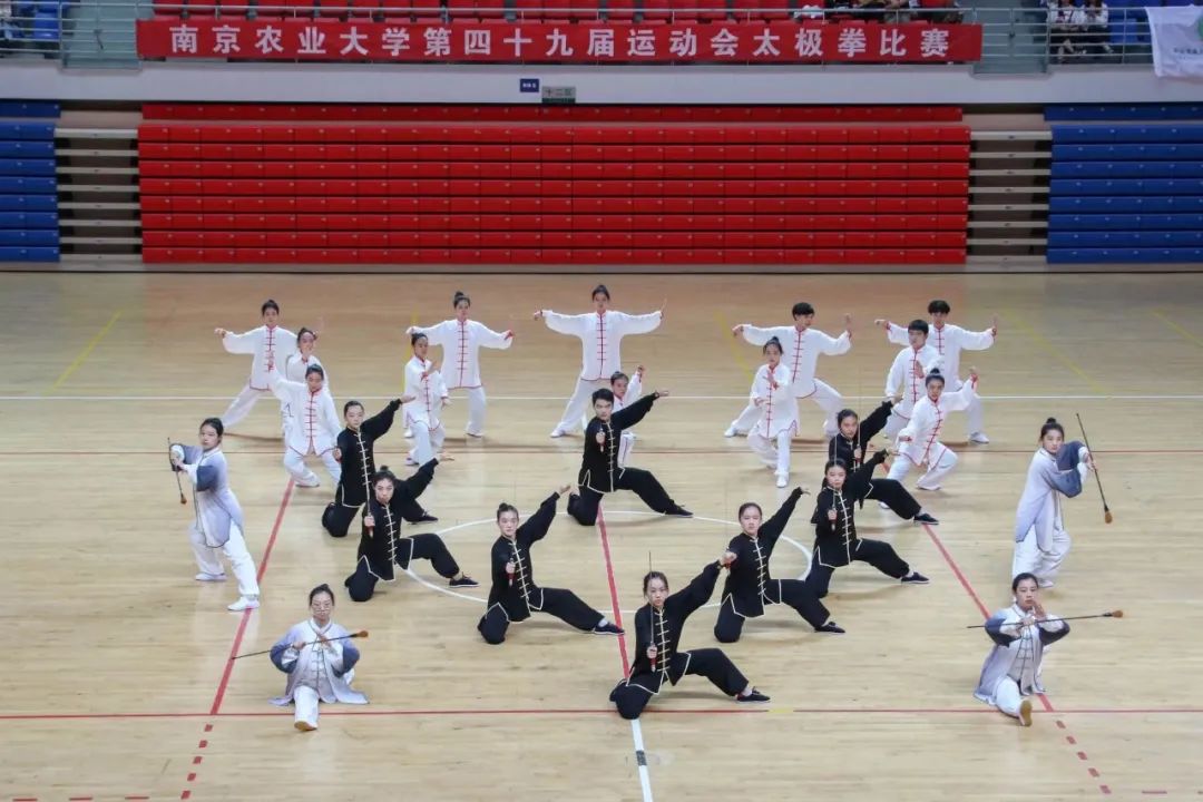 The Harmonious Integration of Yin and Yang in Tai Chi