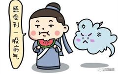 Understanding Epidemic Qi in Traditional Chinese Medicine
