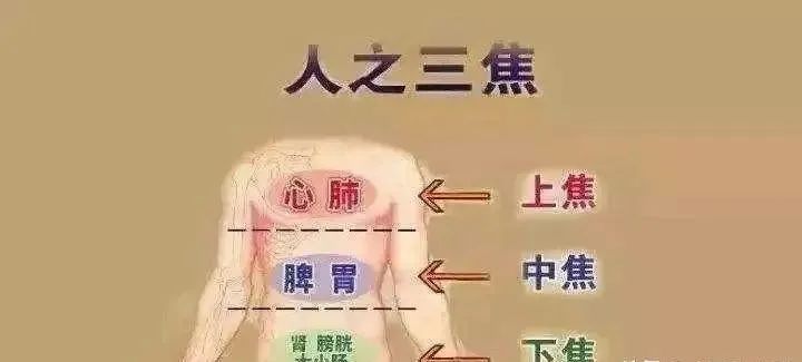 Humidity and Heat in the Lower Body: 6 Chinese Patent Medicines to Clear Damp-Heat and Refresh Your Body