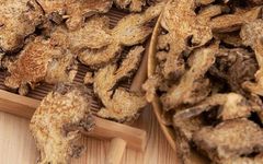 Understanding Traditional Chinese Medicine: Cang Zhu (Atractylodes)