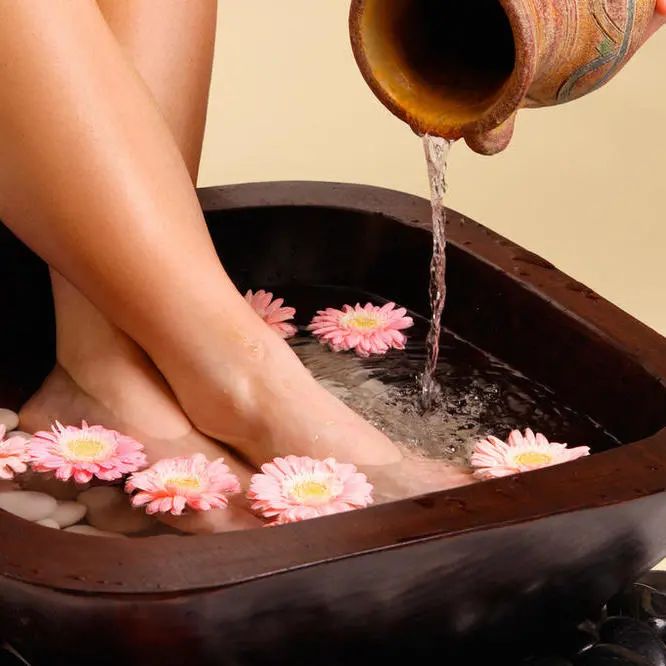 Spring Equinox: A Time for Balancing Yin and Yang, Harmonizing Qi and Blood