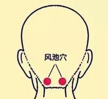 Common Acupuncture Points and Their Effects! (Illustrated Version)