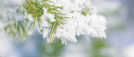 The Great Snow: A Clash of Cold and Heat