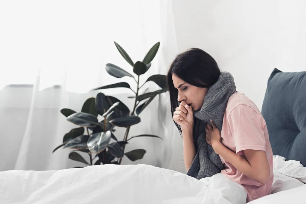 How to Deal with Common Spring Wind-Heat Colds?