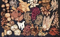 Chen Weichuan's Experience in Treating Exogenous Diseases