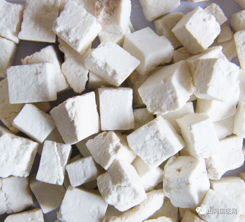 Poria Cocos: A Comprehensive Overview