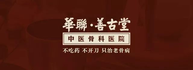 The Story of Cang Zhu (Atractylodes) and Its Medicinal Significance