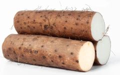 Nourishing Medicinal Cuisine: Unexpected Health Benefits
