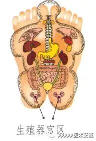 Gua Sha Lesson 21: Sexual Health Care