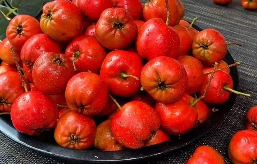 The "Golden Partner" of Danshen: Regular Consumption May Promote Blood Circulation and Dissolve Thrombus