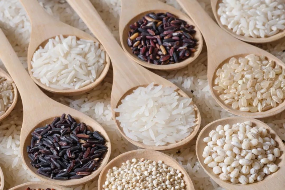 5 Nourishing Eating Methods for Better Health!