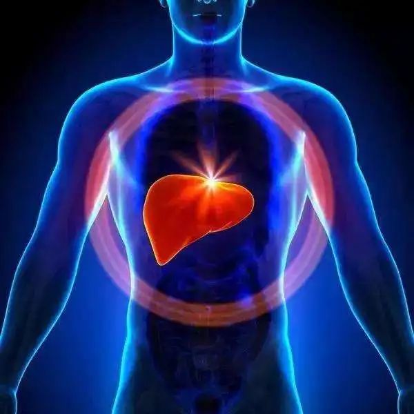 Understanding the Classification of Body Constitution in TCM: What Does Regulating Body Constitution Mean?