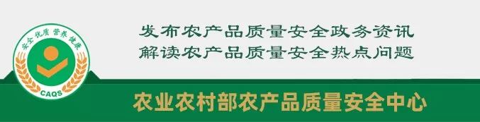 Nutritional Value of Honeysuckle (Jin Yin Hua)