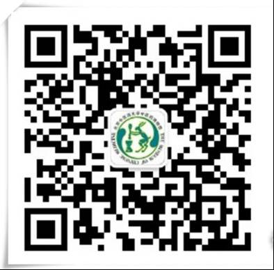 Understanding Dang Shen (Codonopsis pilosula) in Traditional Chinese Medicine
