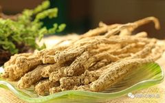 The Effects of Ming Dang Shen, Hong Dang Shen, and Stir-Fried Dang Shen