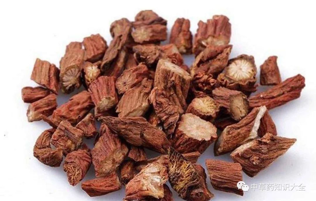 Chinese Herbal Medicine: Dan Shen