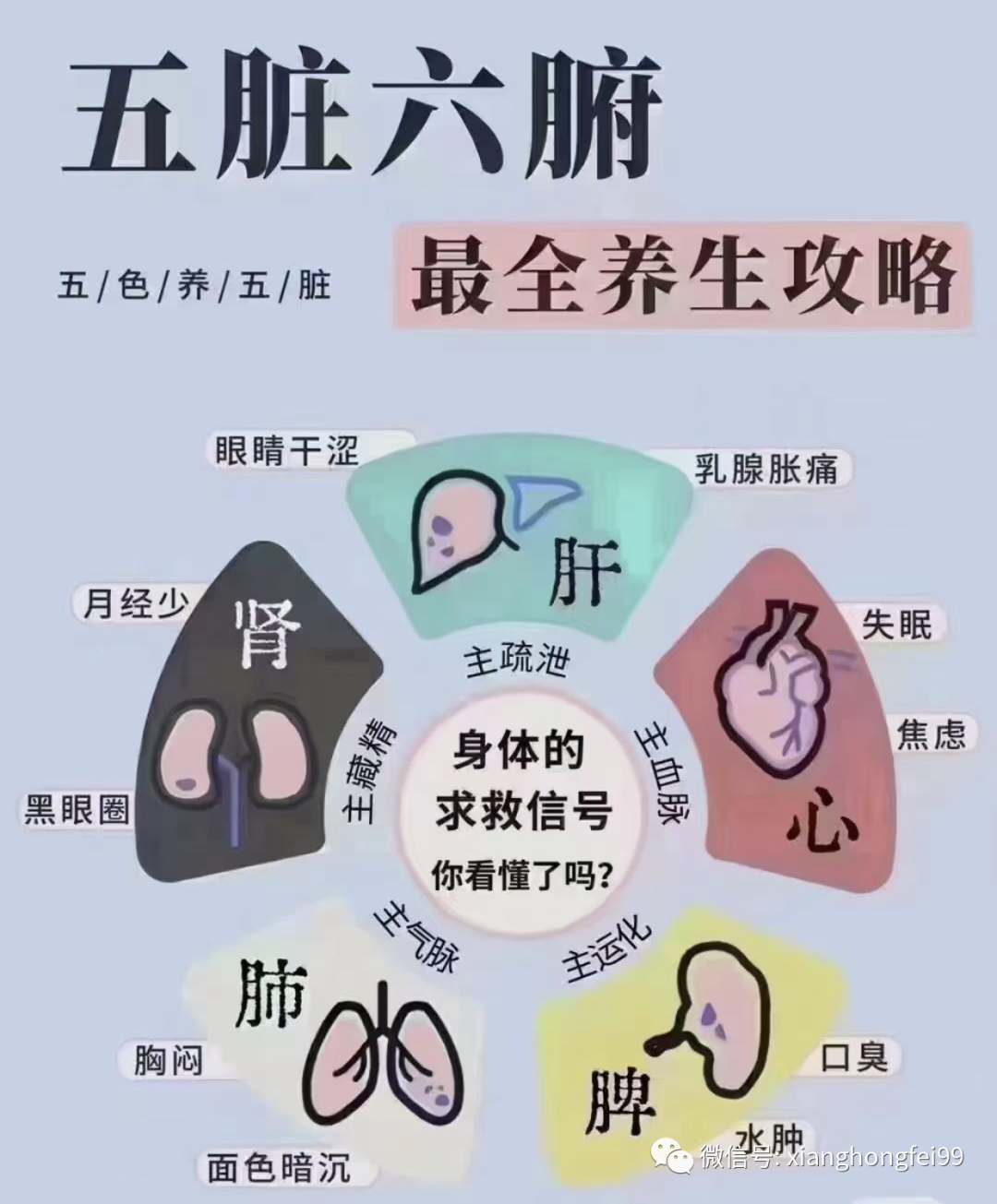 The Path of Health Preservation: The Relationship Between the Five Organs and Six Bowels