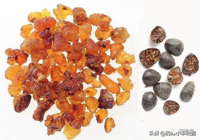 Transformation of Kidney Yin Deficiency and Kidney Yang Deficiency into Both Kidney Yin and Yang Deficiency: Symptoms and 15 Commonly Used TCM Formulas