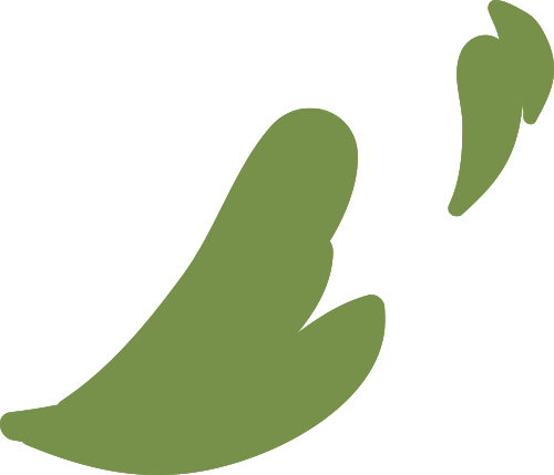 The Five Organs and Six Bowels of Traditional Chinese Medicine: Listening to the Inner Voice of the Body