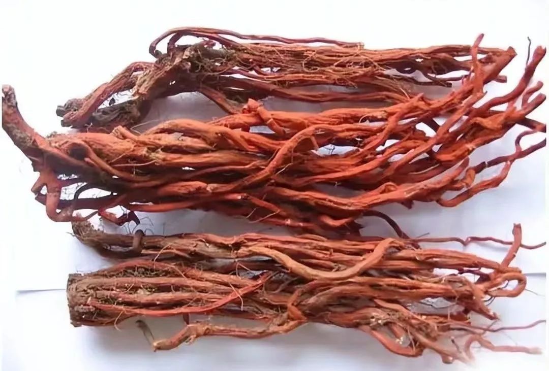 Dan Shen - A Comprehensive Overview of a Traditional Chinese Medicine Herb
