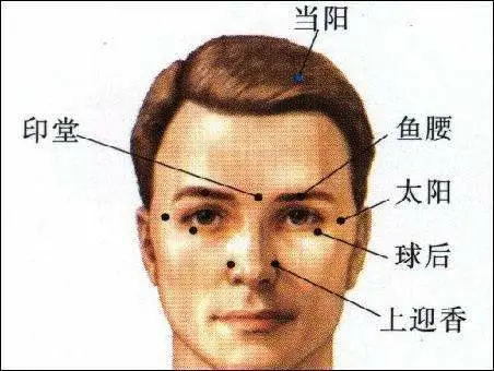 47 Unique Acupuncture Points Worth Seeing! (Collector's Edition)